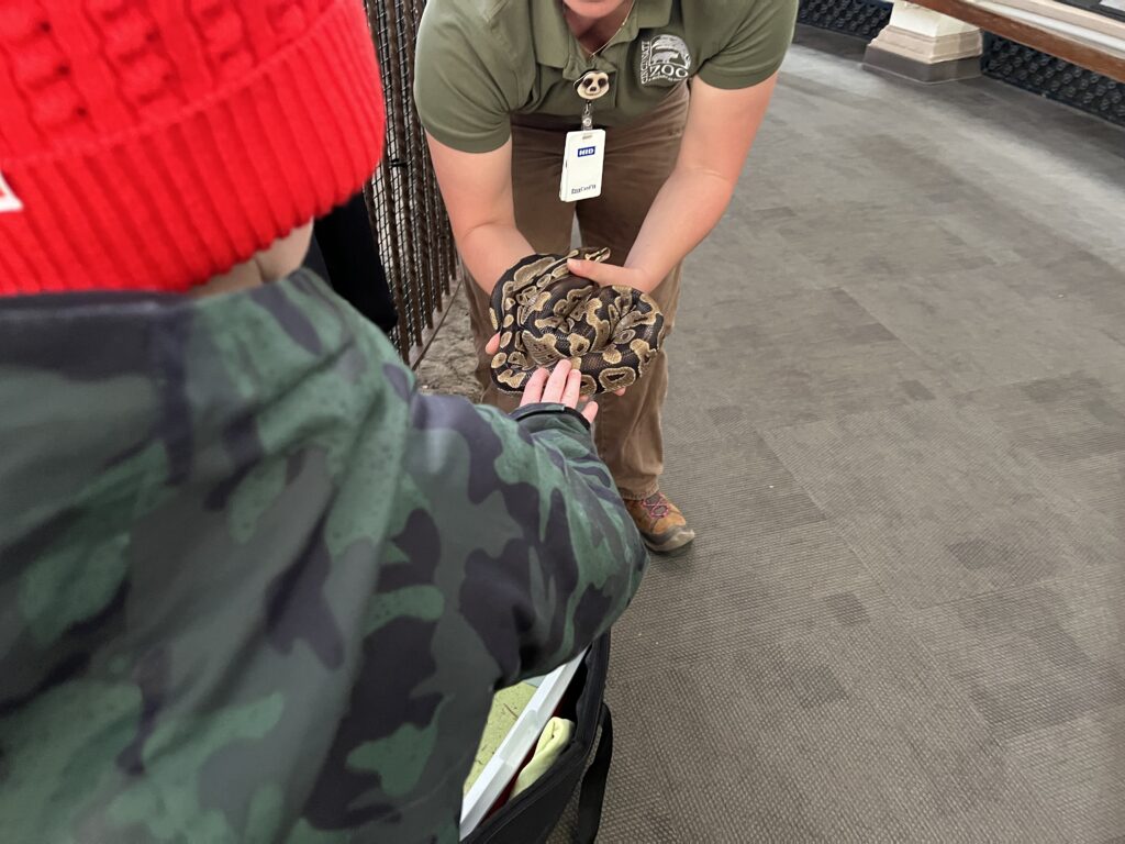 Petting a snake at the Cincinnati Zoo