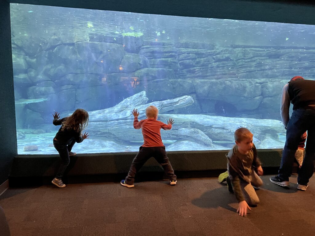 Kids checking out the manatee rehabilitation tank at the Cincinnati Zoo