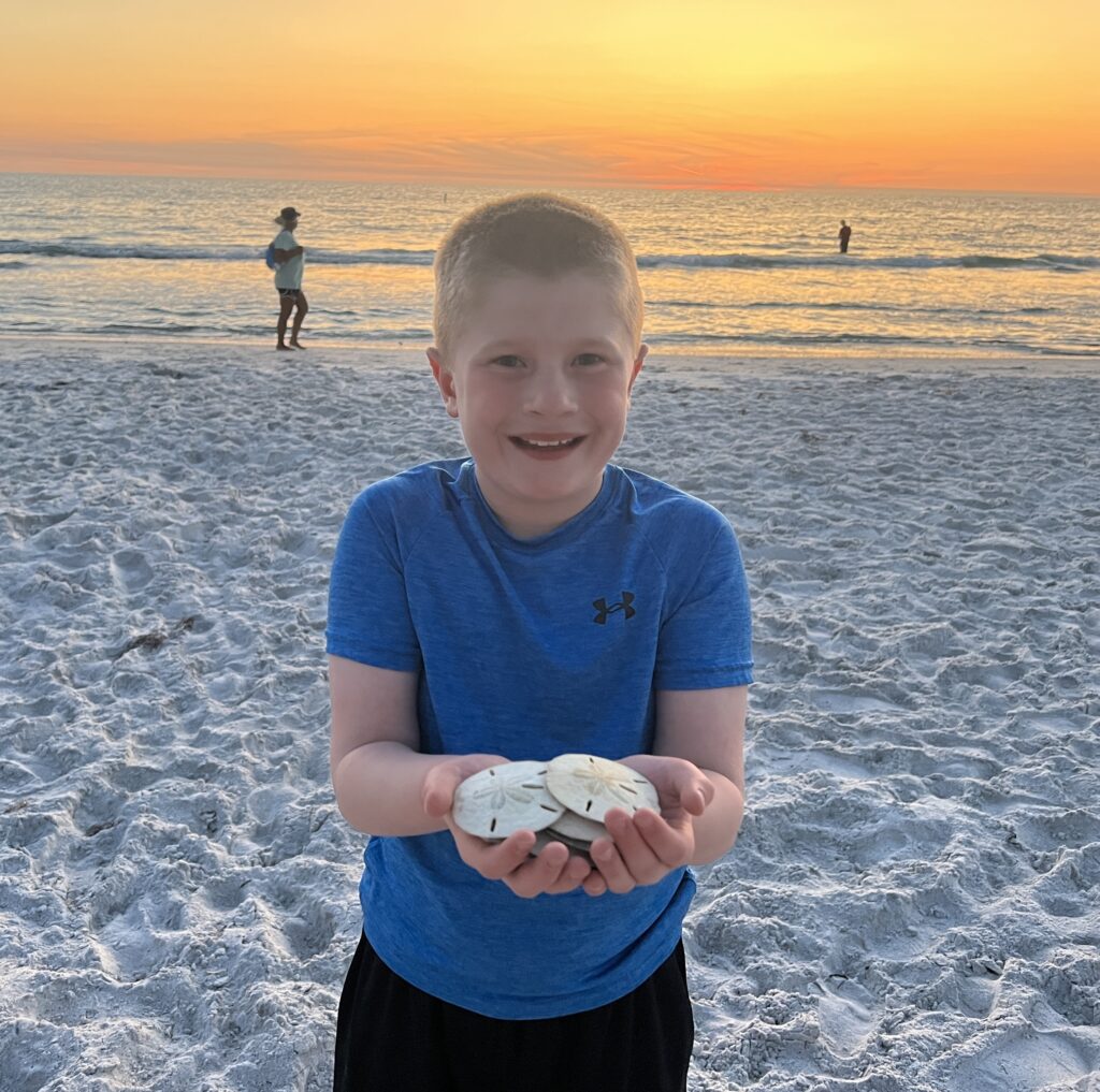 T Finding Sand Dollars