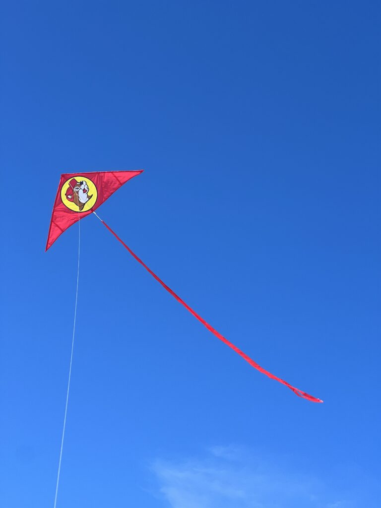 Stopped At Buccees For A Kite