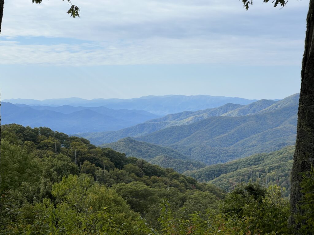 View From Cabin - Bryson City NC