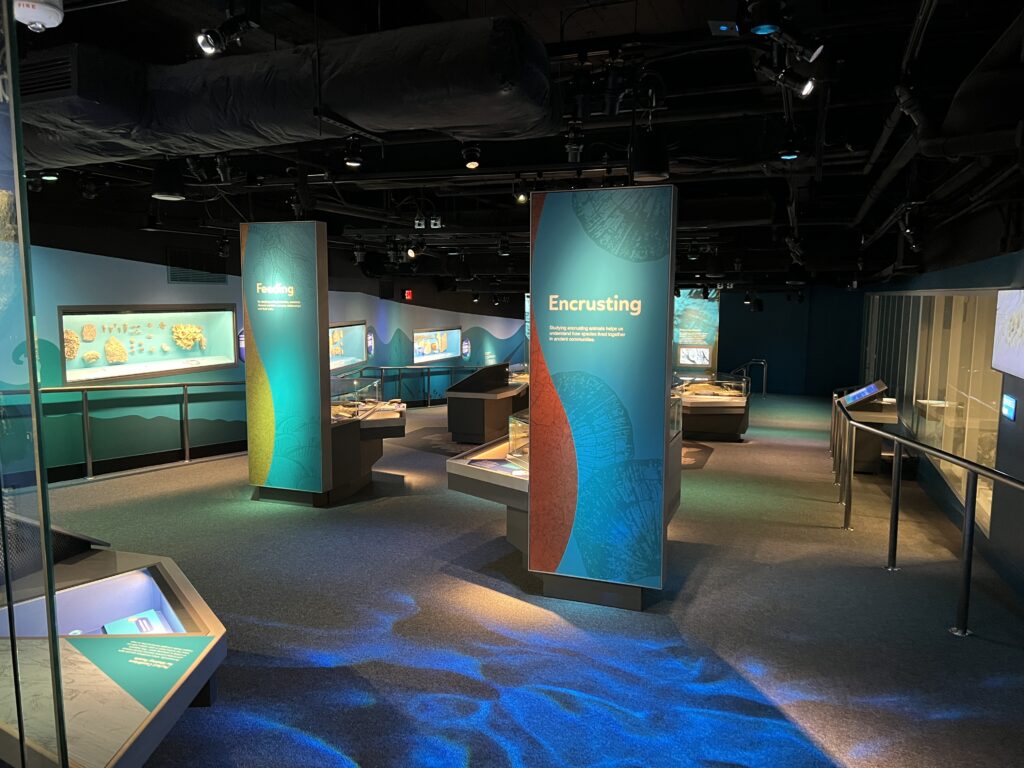 New Museum Space at Cincinnati Museum Center