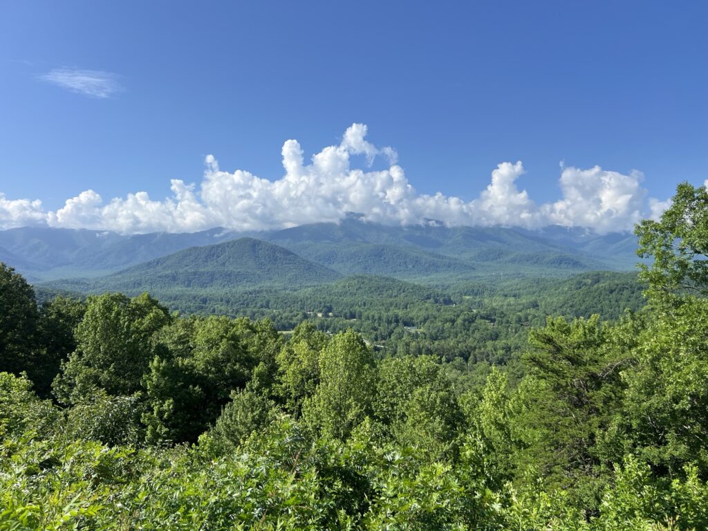 The Eastern Great Smokey Mountains