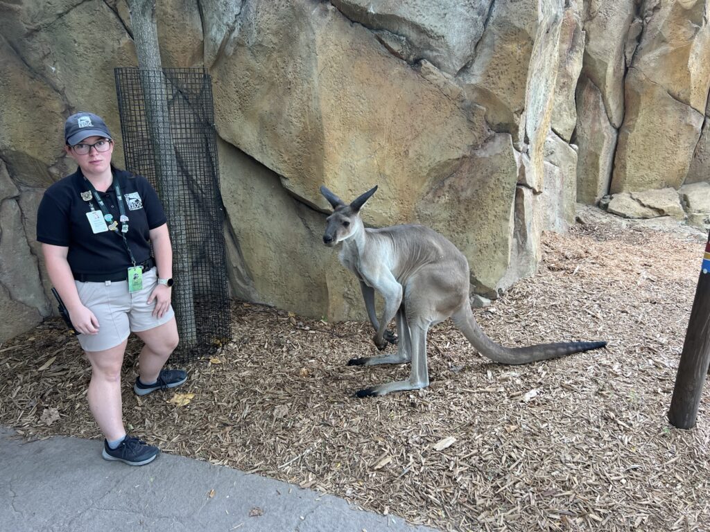 A Roo Ran Up On Us, Trying To Get Out the Door. It Was a Surprise.
