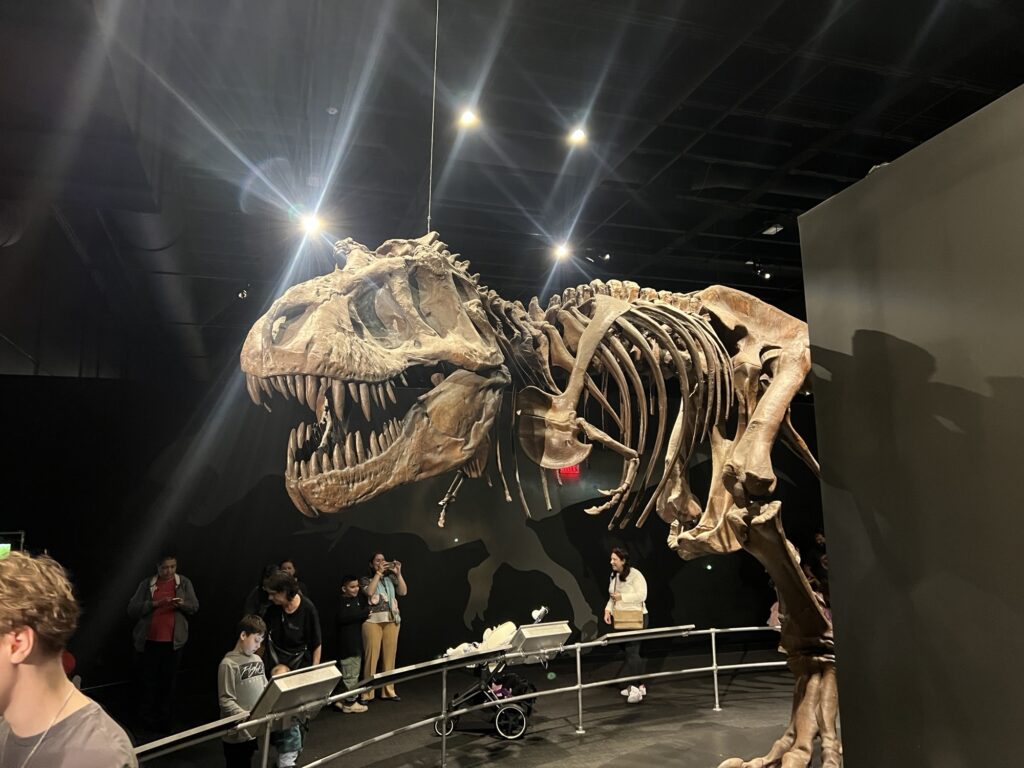 American Museum of Natural History Dinosaur Gallery at COSI