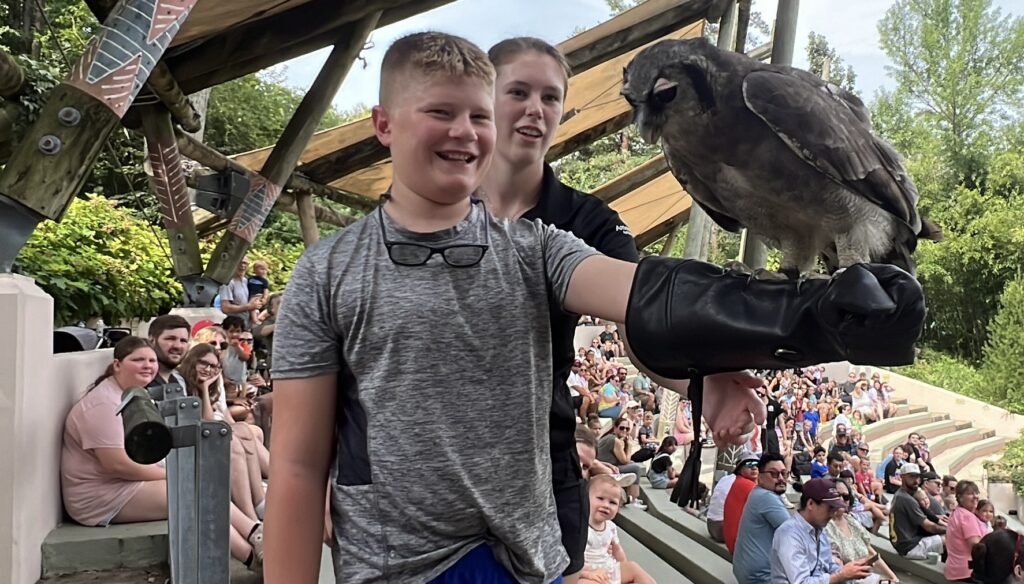 Cincinnati Zoo and Ted with an Owl at Wings of Wonder