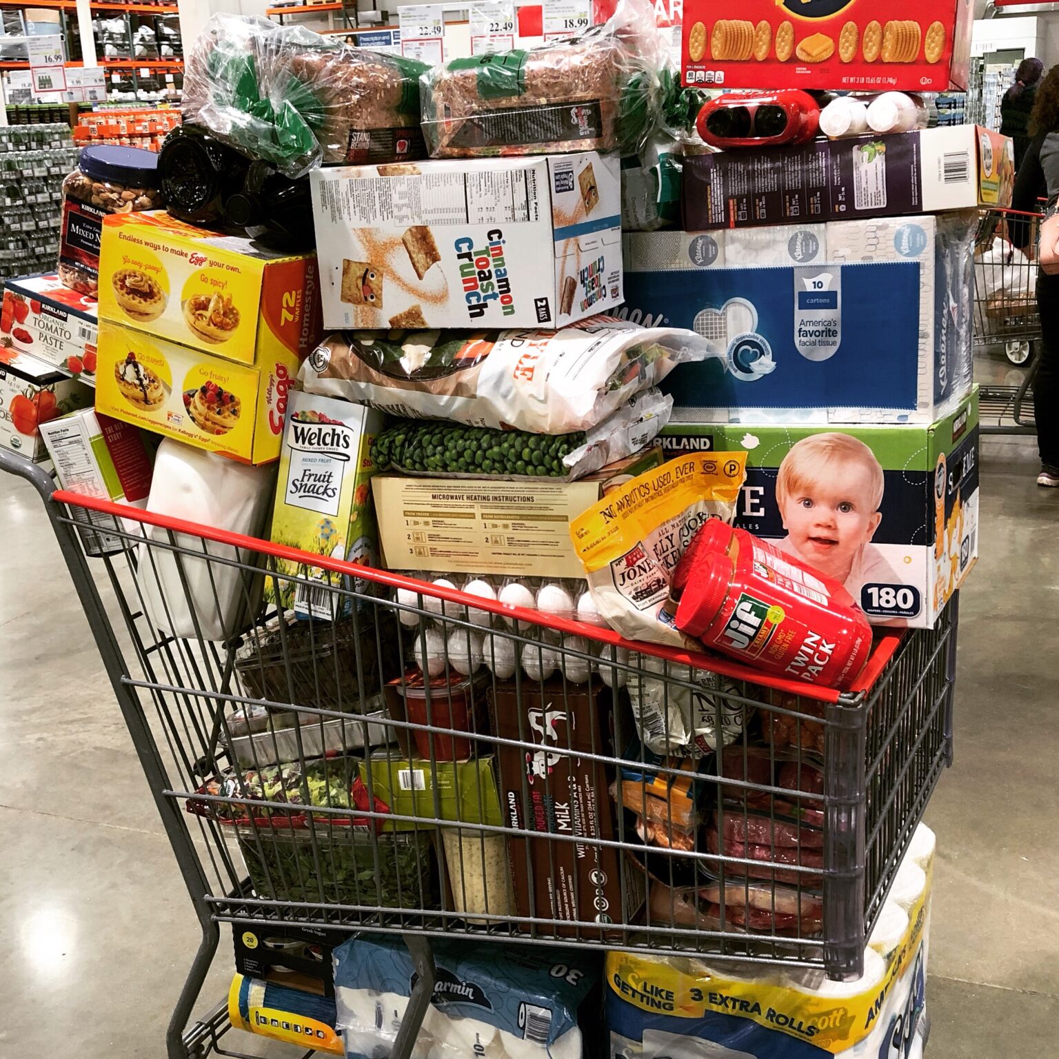 Costco Grocery Cart