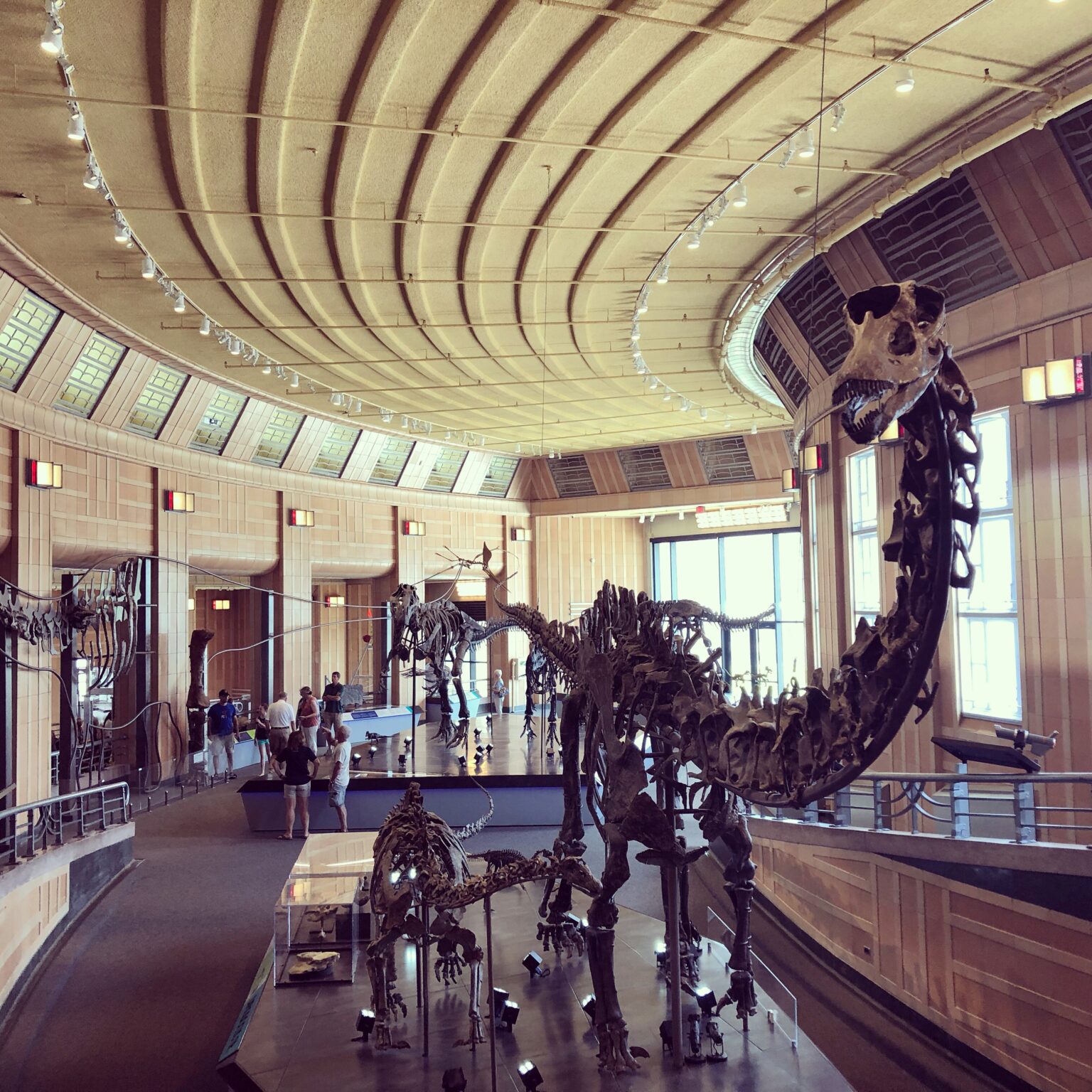 Dinosaur Bones at Union Terminal